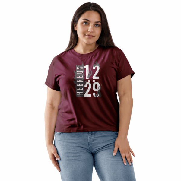 Camiseta Feminina Vinho Hebreus 12:29